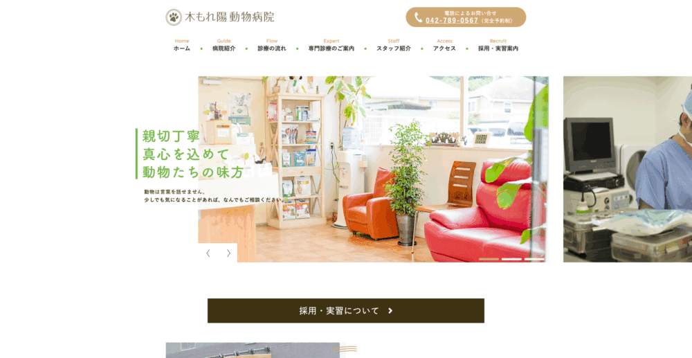 木もれ陽動物病院