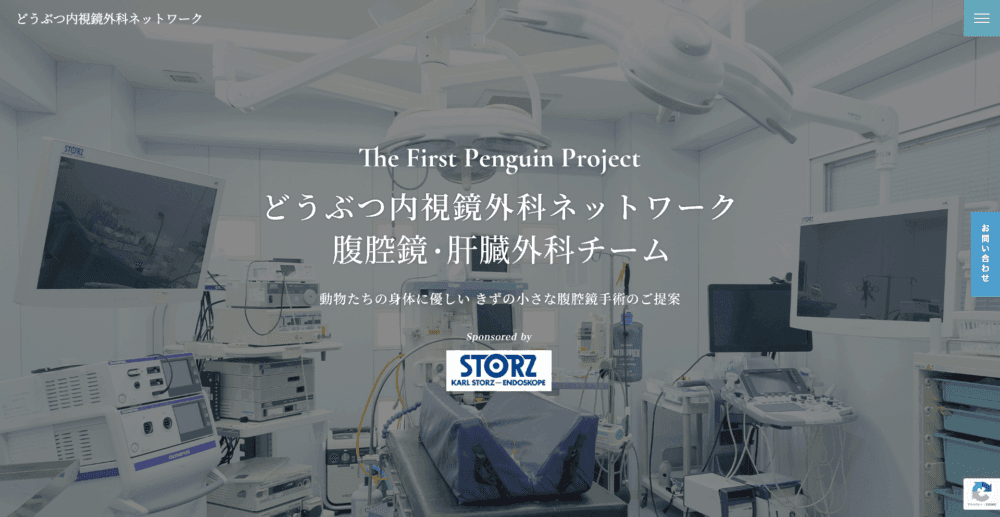 犬と猫の腹腔鏡避妊手術センター